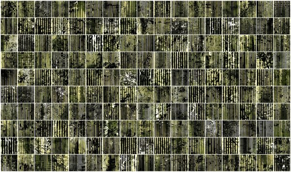 (1464-1870-170) DIGITAL EUROPEAN CENTRAL FOREST RESERVE (DECFOR), 2026